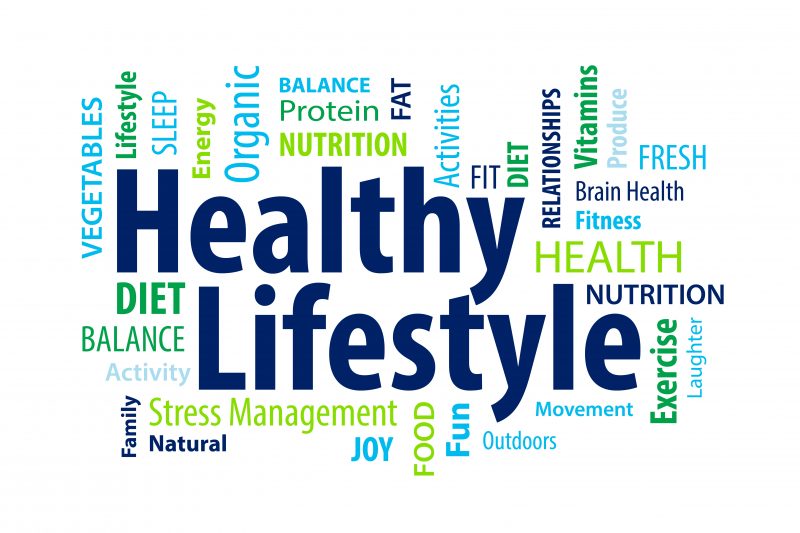 essay on how to have a healthy lifestyle